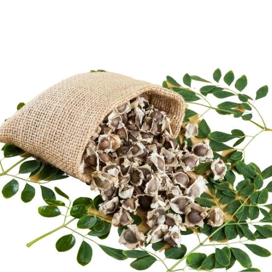 9c) Natural Multivitamin: Organic Moringa Seeds, 1oz